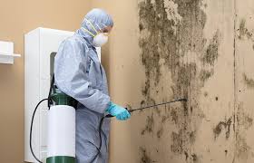  Boyes Hot Springs, CA Mold Removal & Remediation Pros